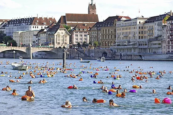 Rheinschwumm