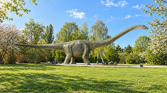 Dino